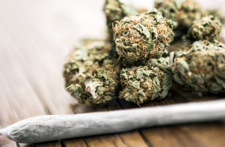IMPORTANT THINGS YOU NEED TO KNOW BEFORE BUYING BC BUD ONLINE